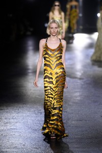Roberto Cavalli RTW Fall 2022