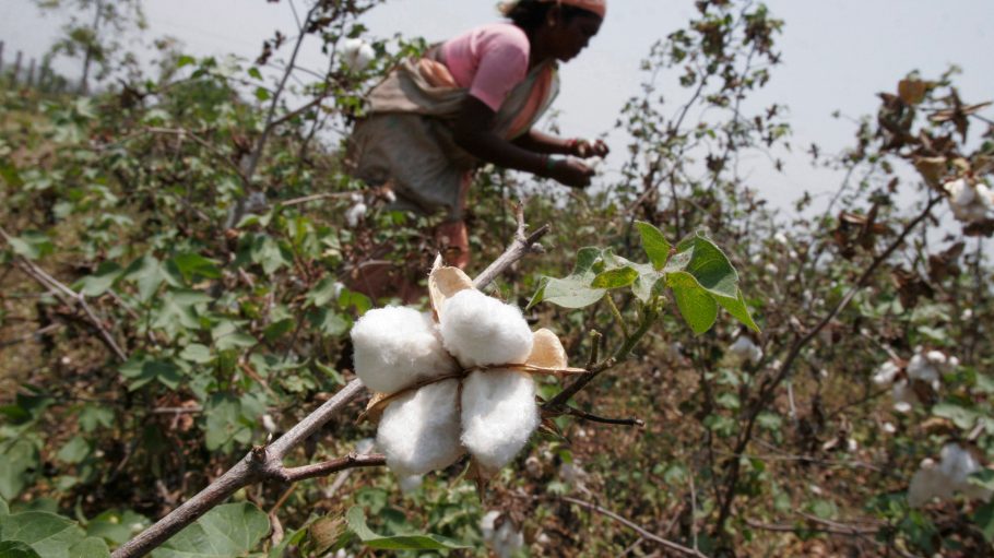 Drastic steps are needed to ensure organic cotton lives up to its name and more proceeds go to those who farm it, according to one exec.