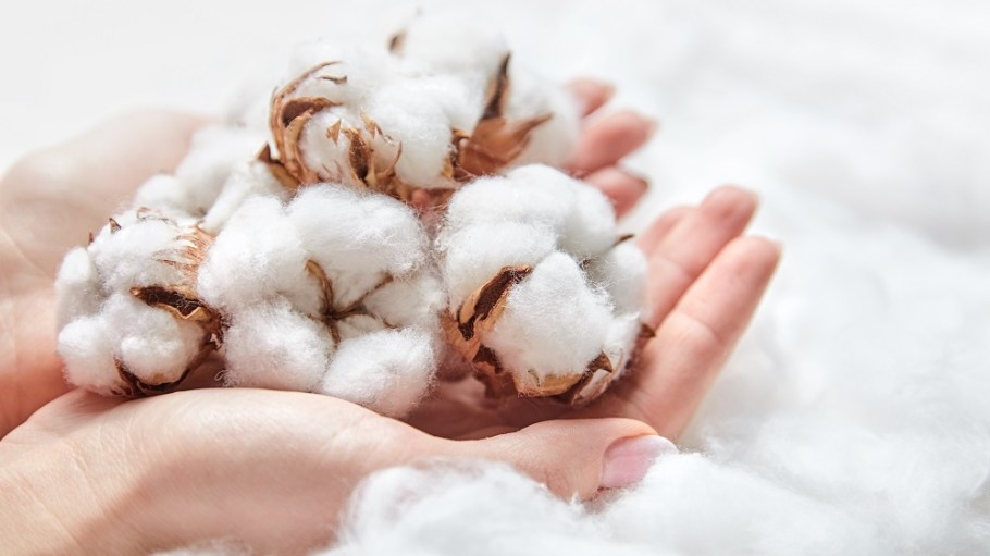 The Organic Cotton Accelerator saw strong growth in the farmers joining its program, with as many as 80,000 participants last season.