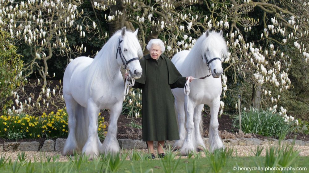 An image of Queen Elizabeth to mark her 96th birthday. The Royal Windsor Horse Show, commissioned the image, which was shot by Henry Dallal.
