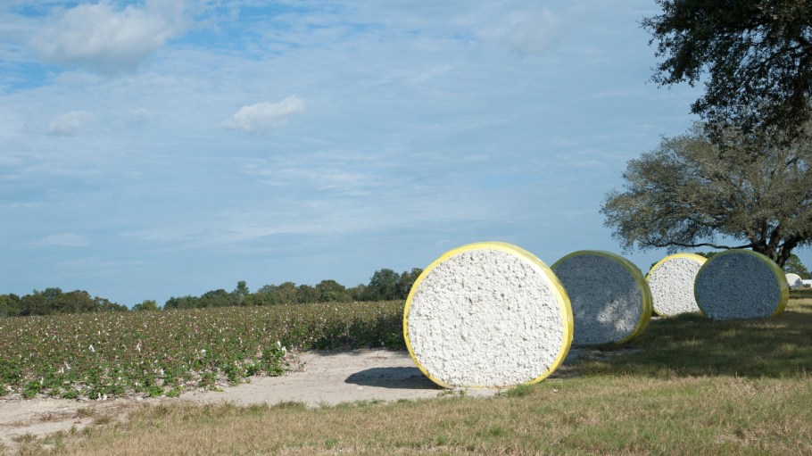 Over the past six months, the cost of raw materials has become an increasingly important factor in souring decisions and pricing.