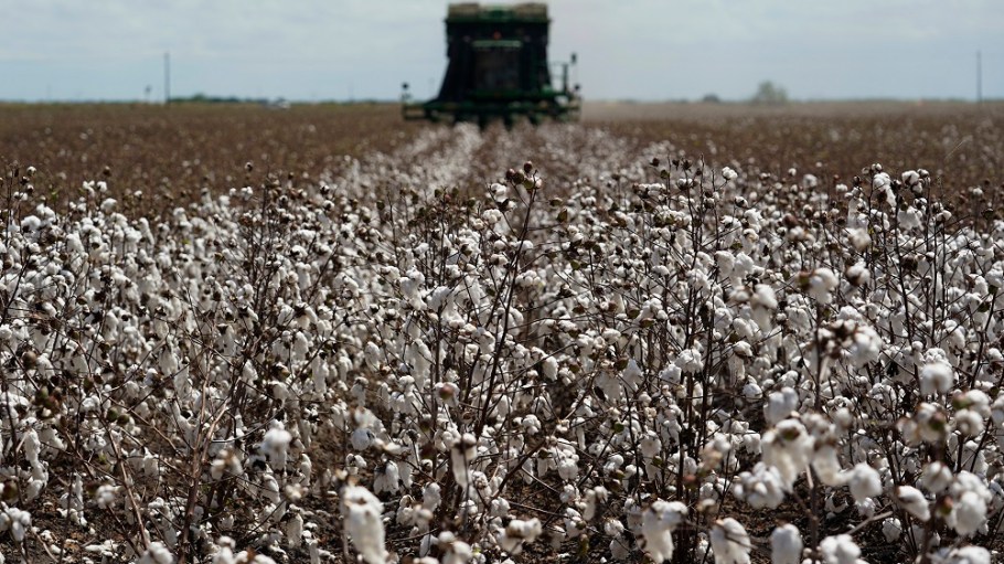 Better Cotton has convened a group of global retailers and brands to help deliver new traceability solutions to the cotton supply chain.