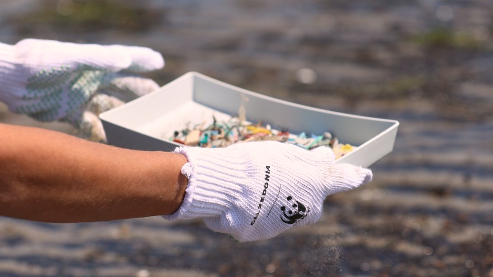 Calzedonia and WWF beach clean-up initiative on Venice's Lido beaches.