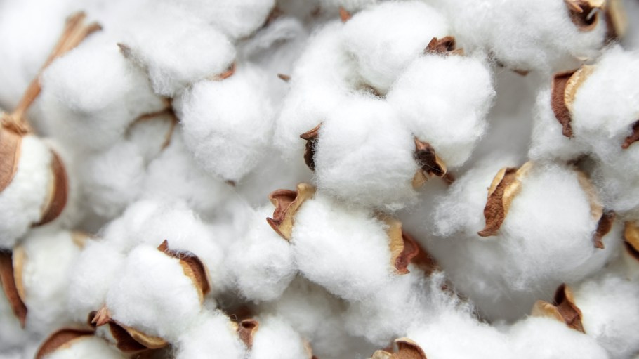 The Buying American Cotton Act will incentivize the consumption of products made with cotton grown in the United States with a tax credit.