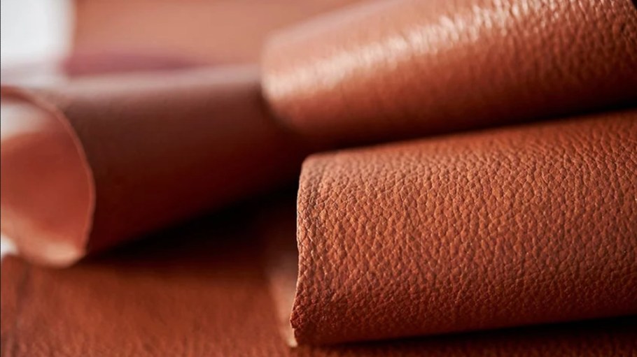 VitroLabs has amassed $46 million in funding for the continued development of its lab-grown leather.