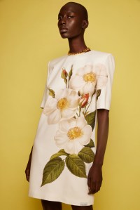 Maxime Simoens Resort 2023