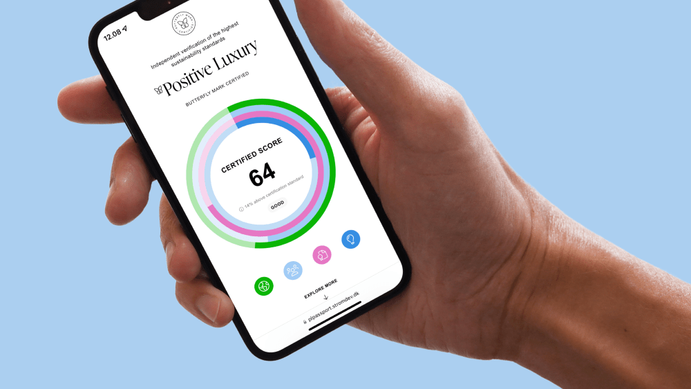 51toCarbonZero and Positive Luxury are partnering up. Here, a rendering of Positive Luxury's recent digital platform.