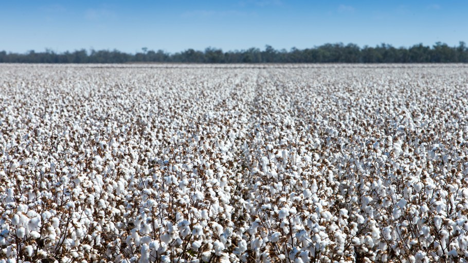 Martin Farms owner Larkin Martin shares the technologies streamlining aspects of cotton farming.