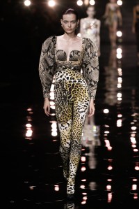 Roberto Cavalli RTW Spring 2023