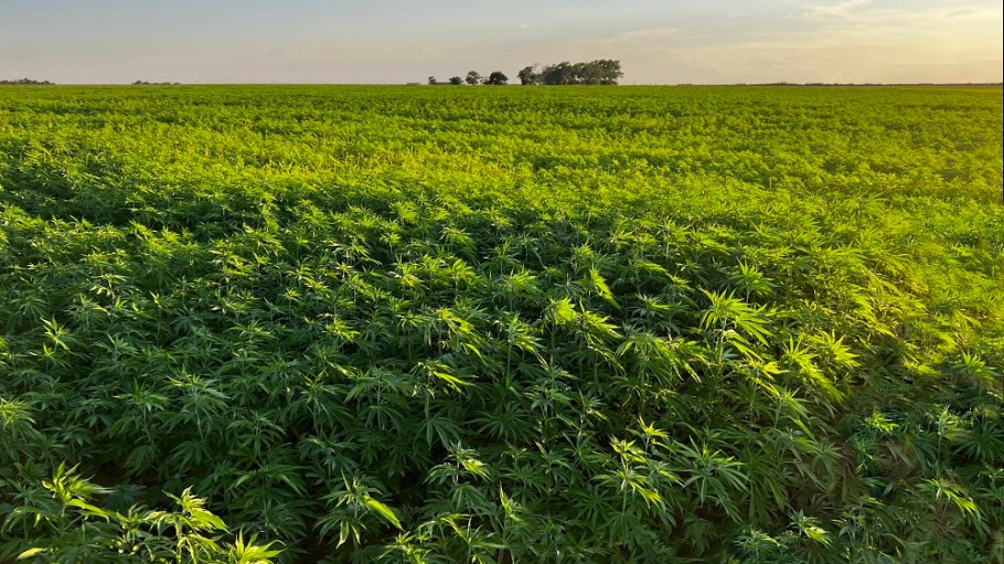 Bast Fibre Technologies, maker of Sero hemp fiber, announced it has closed a major strategic financing with Ahlström Capital of Finland.