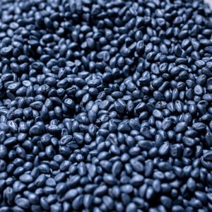 Italian denim mill Candiani is growing its own cotton, a new strain called Blue Seed.