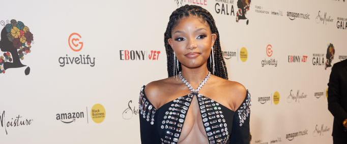 SANTA MONICA, CALIFORNIA - OCTOBER 22: Halle Bailey attends the 5th annual Wearable Art Gala honoring Angela Bassett and Mark Bradford at Barker Hangar on October 22, 2022 in Santa Monica, California. (Photo by Unique Nicole/Getty Images)