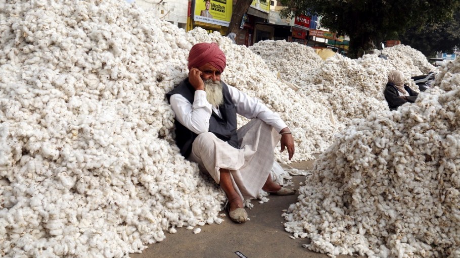 A new Better Cotton study found cotton farmers who implemented Better Cotton recommended agricultural practices achieved improvements in profitability and sustainability.