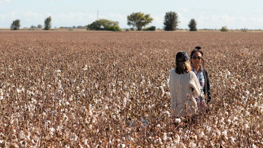 California Cotton and Climate Coalition