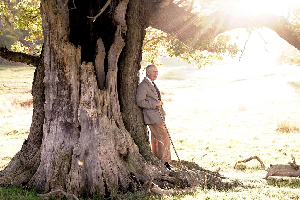 King Charles III Sticking With Green Agenda Despite His New Role