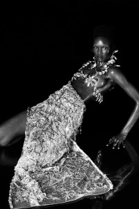 Area Resort 2023