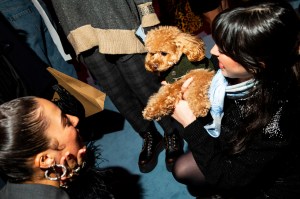 The scene at the Miu Miu Select by Sydney Sweeney event.