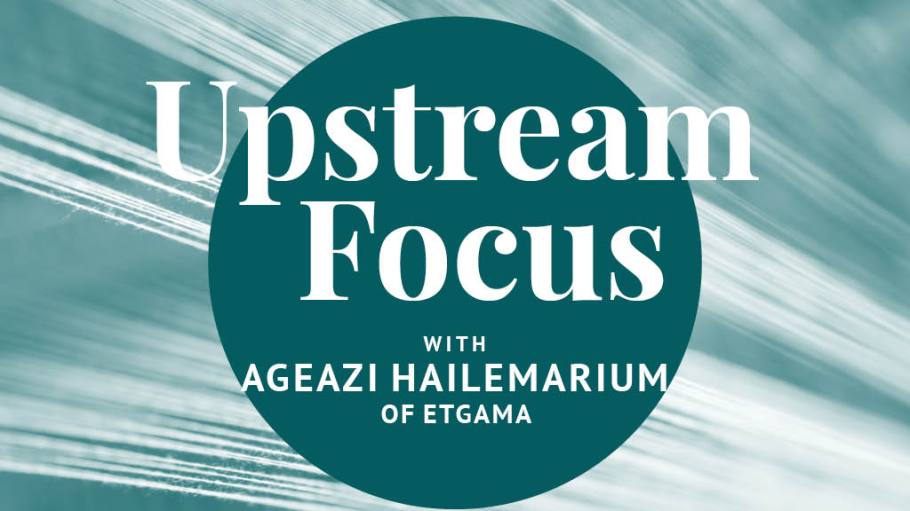 Upstream Focus Ageazi Hailemarium ETGAMA
