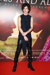 MILAN, ITALY - NOVEMBER 12: Timothée Chalamet attends the photocall for "Bones And All" on November 12, 2022 in Milan, Italy. (Photo by Stefania D'Alessandro/Getty Images)