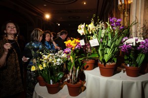 The scene at the New York Botanical Garden's Orchid Dinner 2023.