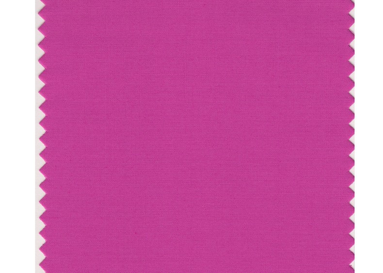 Rose Violet