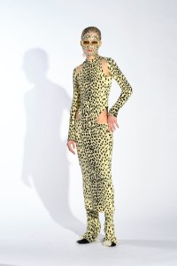 Ssheena RTW Fall 2023