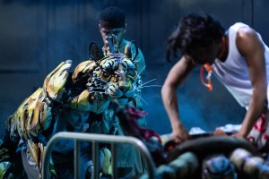"Life of Pi" on Broadway.