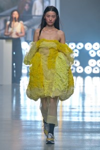 Cecilie Bahnsen RTW Fall 2023