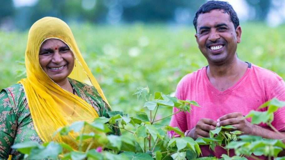 Organic Cotton Accelerator farmers in India