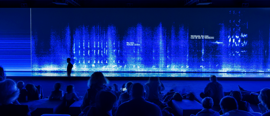 Fondation Cartier and Exploratorium Bring ‘Animal Orchestra’ to San Francisco