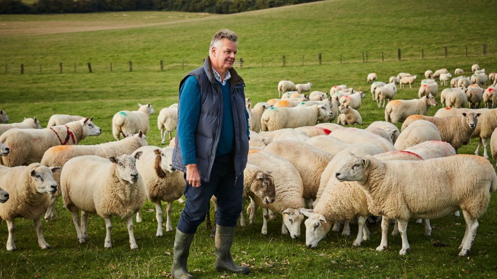 Woolroom's Chris Tattersall with a flock of sheep.
