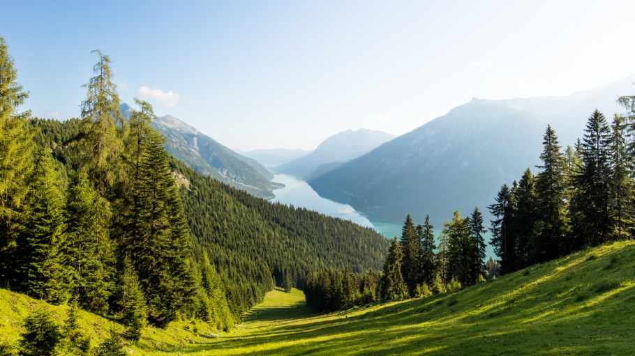 Canopy Receives $60M in Funding Toward Protecting Critical Forests