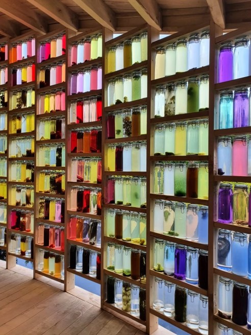 Startups focused on biobased materials and recycling technologies lead Fashion for Good’s 2024 Innovation Program.