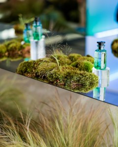 The scene at the Louis Vuitton Pacific Chill Launch.