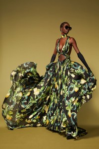 Roberto Cavalli Resort 2024