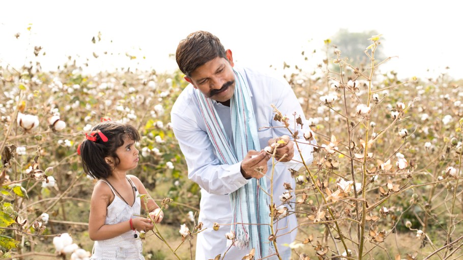 Indian farmers were hoping for a return of high 2022 prices.