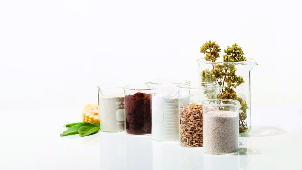 Evoco: Defossilization Materialized