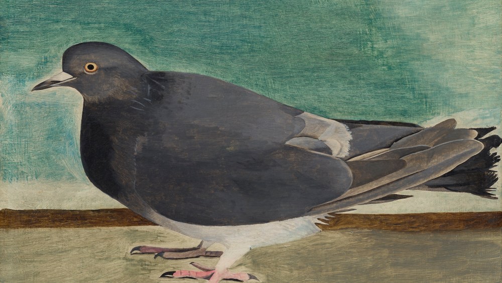 Lucian Freud "Pigeon" 1946