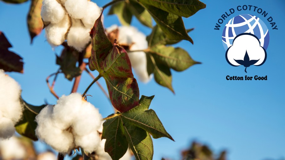 World Cotton Day is on Oct. 7