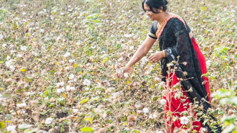 CottonConnect teaches women farmers in Pakistan, India and Bangladesh about climate change with positive results.