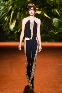 Roberto Cavalli RTW Spring 2024