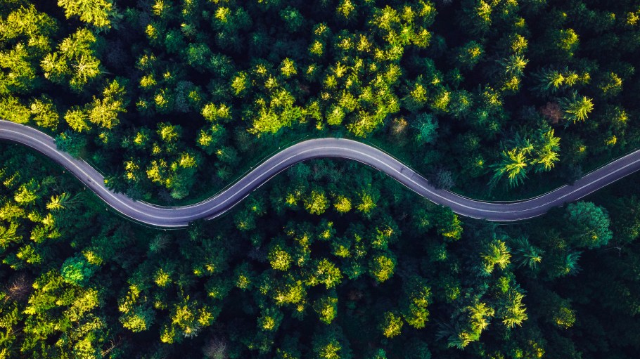 Winding Curvy Road Trough Forest. Aerial Drone Top Down View. Wilderness Landscape.