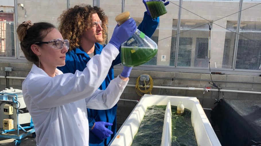 Algenesis Nabs $5 million for Plant-based Material Production