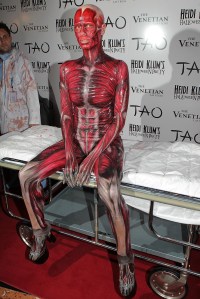 Heidi Klum, Human Body, Halloween Party, Celebrity Halloween Costumes, Halloween Costumes Inspiration, Halloween Costumes Ideas,