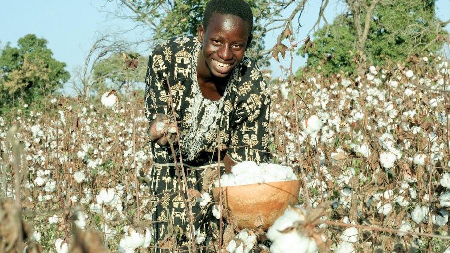 The East African cotton industry has idle mills but lots of potential.