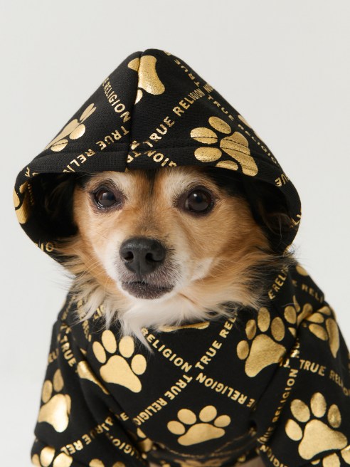 True Religion will launch its first collection for pets with licensing partner Wiesner Products. Inc.