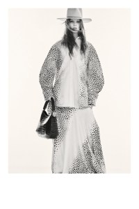 Roberto Cavalli Pre-Fall 2024