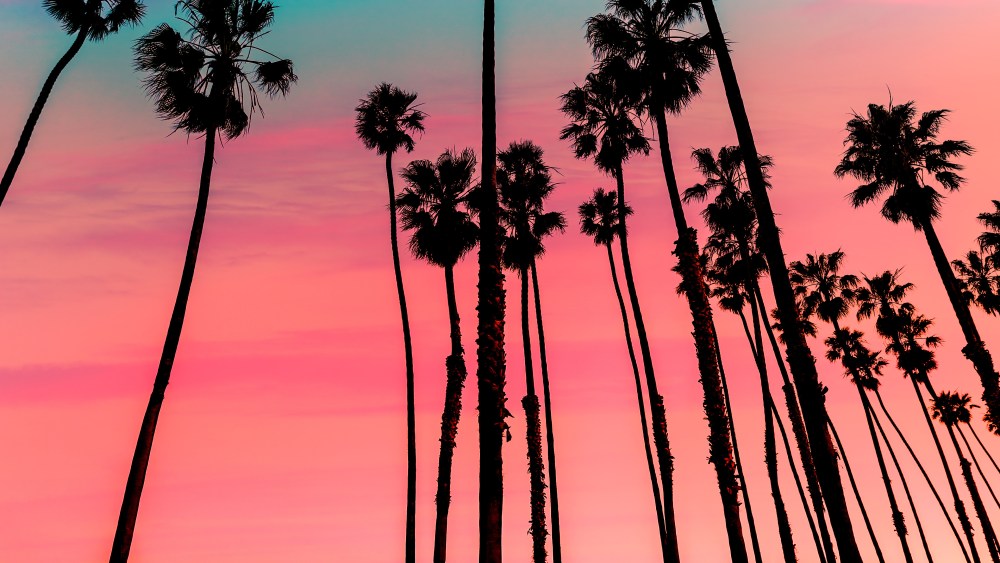California sober is quickly becoming a new trend for dry January.