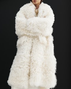 Plan C RTW Fall 2024