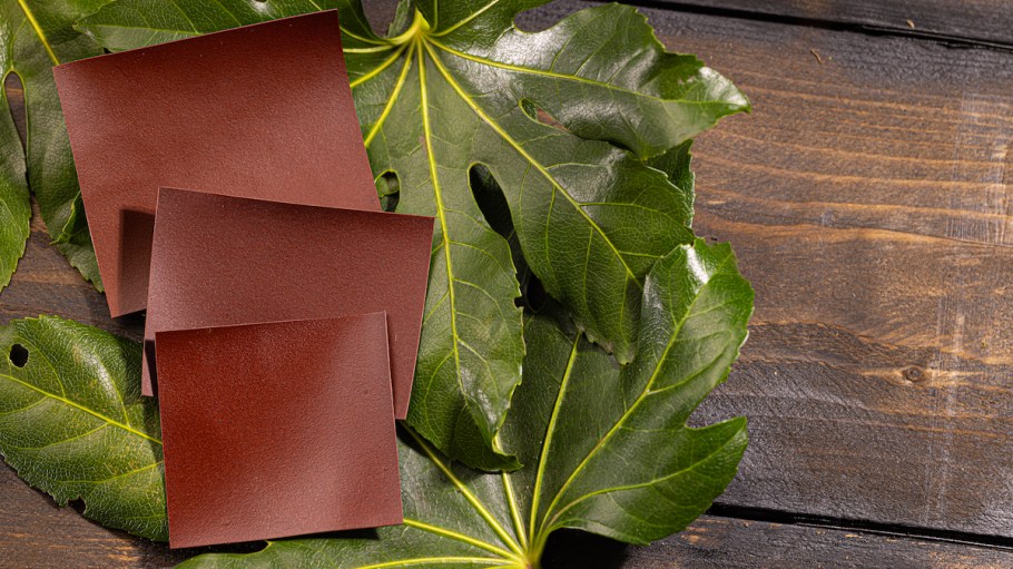 Developed in Biophilica's London laboratory, Treekind mixes lignocellulose from urban and agricultural sources to make a flexible, leather-like material that’s recyclable and free of polyurethane and PVC.